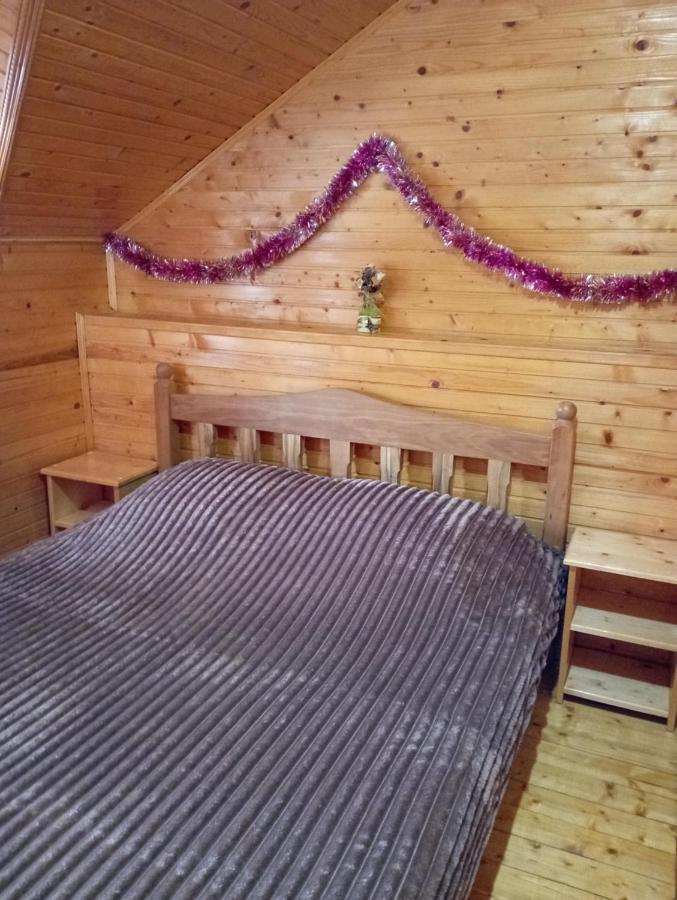 Holiday Home Melodiya Karpat 亚列姆切 外观 照片