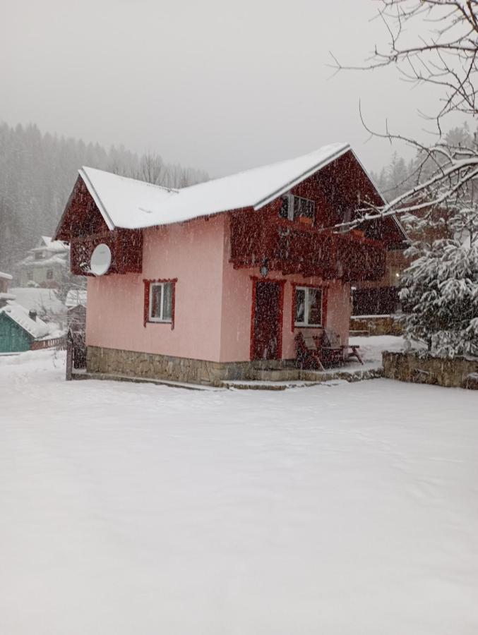 Holiday Home Melodiya Karpat 亚列姆切 外观 照片