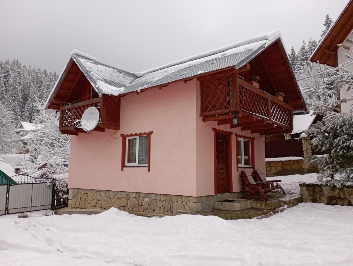Holiday Home Melodiya Karpat 亚列姆切 外观 照片