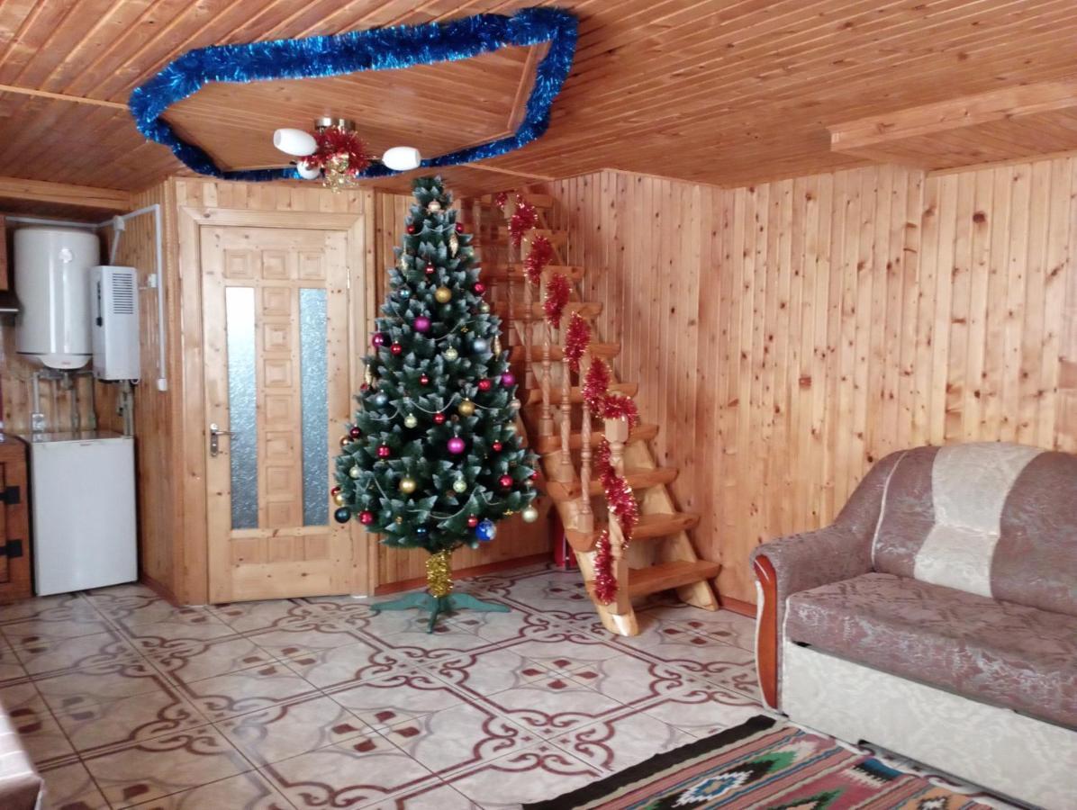 Holiday Home Melodiya Karpat 亚列姆切 外观 照片