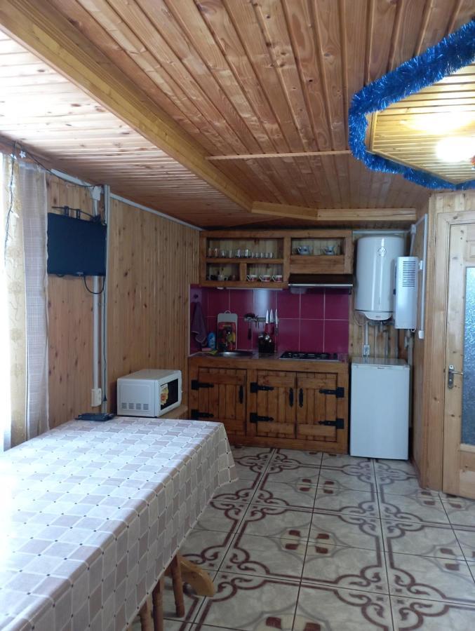 Holiday Home Melodiya Karpat 亚列姆切 外观 照片