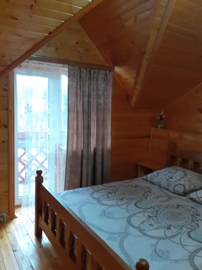 Holiday Home Melodiya Karpat 亚列姆切 外观 照片