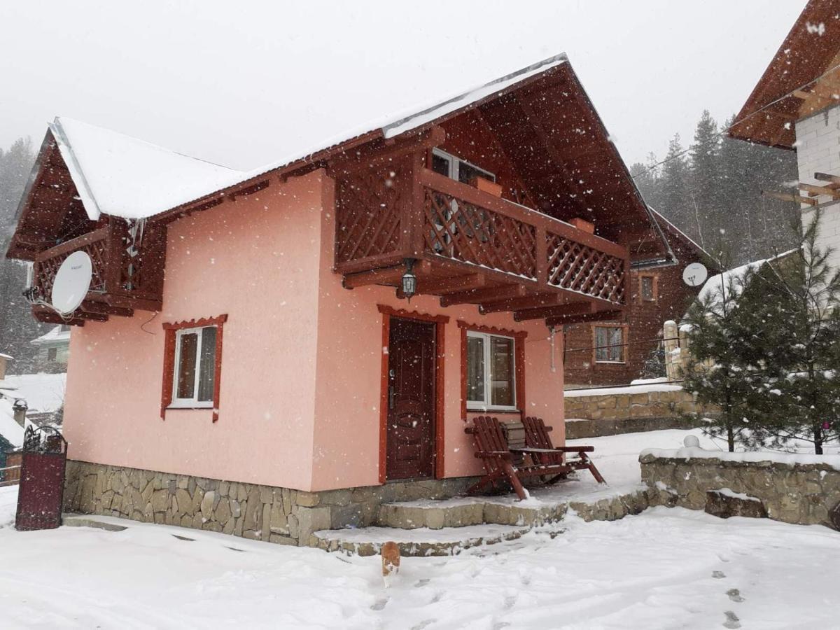 Holiday Home Melodiya Karpat 亚列姆切 外观 照片