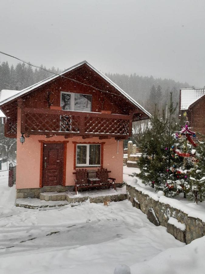 Holiday Home Melodiya Karpat 亚列姆切 外观 照片